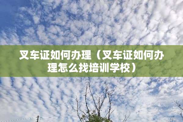 叉车证如何办理（叉车证如何办理怎么找培训学校）
