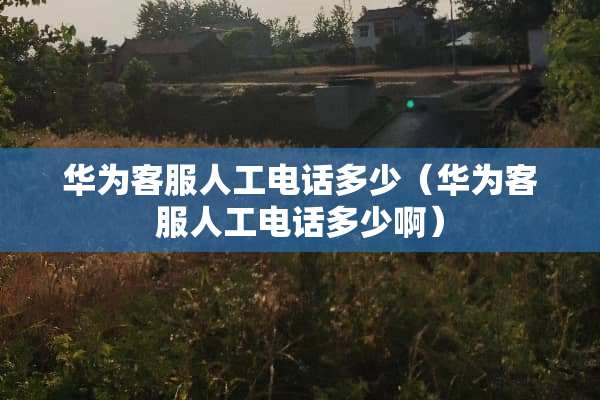 华为客服人工电话多少（华为客服人工电话多少啊）