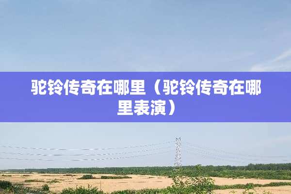 驼铃传奇在哪里（驼铃传奇在哪里表演）