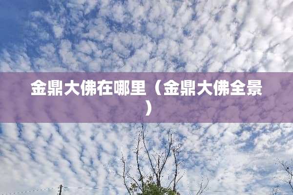 金鼎大佛在哪里（金鼎大佛全景）