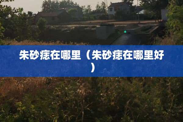 朱砂痣在哪里（朱砂痣在哪里好）