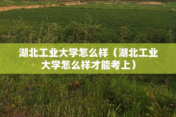 湖北工业大学怎么样（湖北工业大学怎么样才能考上）