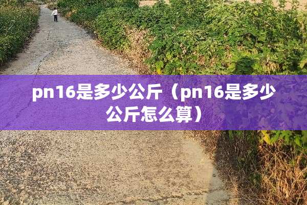 pn16是多少公斤（pn16是多少公斤怎么算）