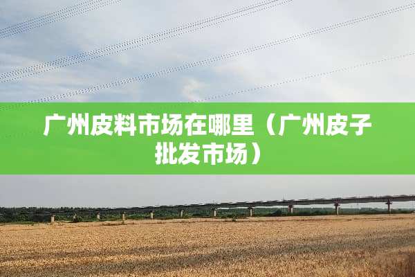 广州皮料市场在哪里（广州皮子批发市场）
