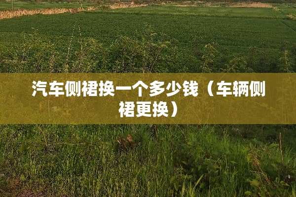 汽车侧裙换一个多少钱（车辆侧裙更换）
