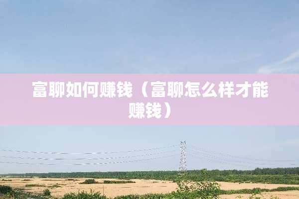 富聊如何赚钱（富聊怎么样才能赚钱）