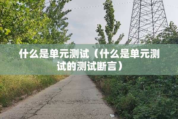 什么是单元测试（什么是单元测试的测试断言）