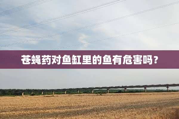 苍蝇药对鱼缸里的鱼有危害吗？