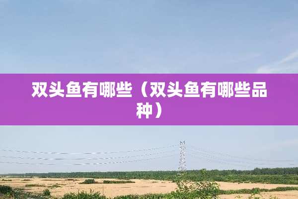 双头鱼有哪些（双头鱼有哪些品种）