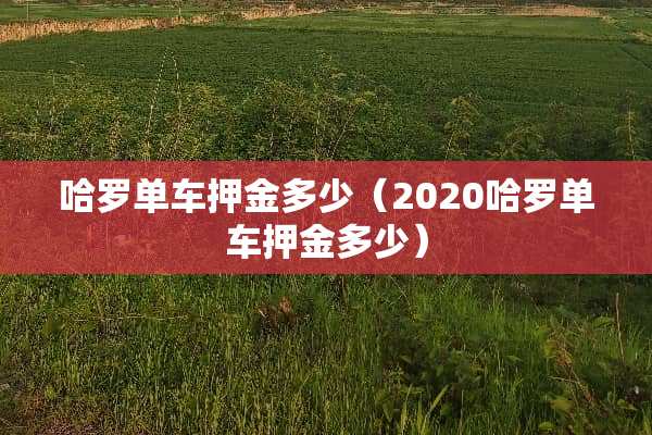 哈罗单车押金多少（2020哈罗单车押金多少）