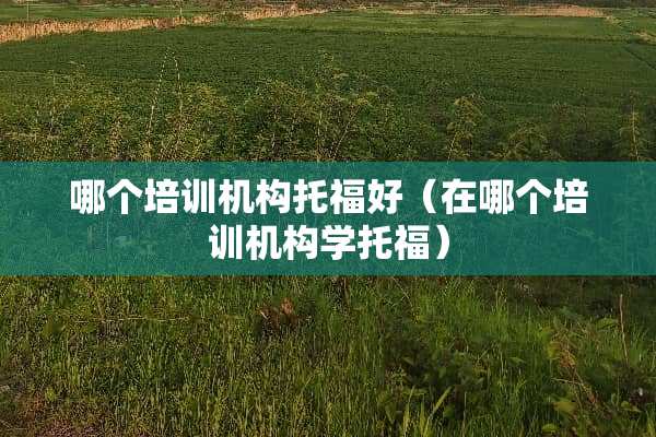 哪个培训机构托福好（在哪个培训机构学托福）