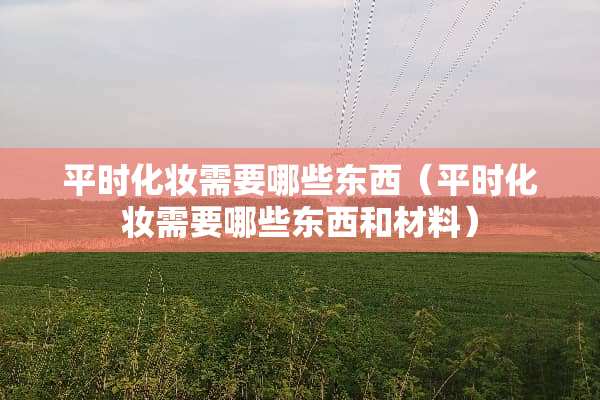 平时化妆需要哪些东西（平时化妆需要哪些东西和材料）