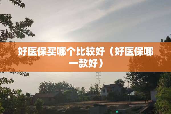 好医保买哪个比较好（好医保哪一款好）