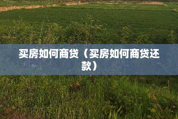 买房如何商贷（买房如何商贷还款）