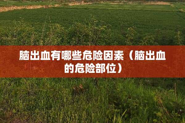 脑出血有哪些危险因素（脑出血的危险部位）