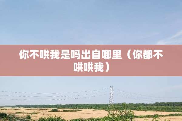 你不哄我是吗出自哪里（你都不哄哄我）