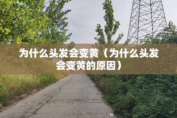 为什么头发会变黄（为什么头发会变黄的原因）