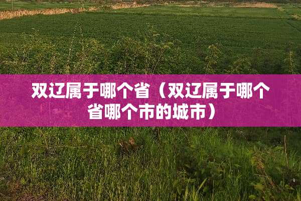 双辽属于哪个省（双辽属于哪个省哪个市的城市）