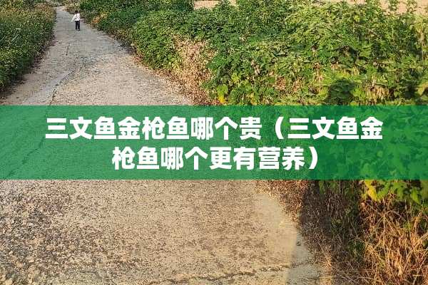 三文鱼金*鱼哪个贵（三文鱼金*鱼哪个更有营养）