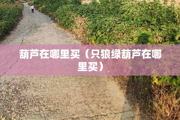 葫芦在哪里买（只狼绿葫芦在哪里买）