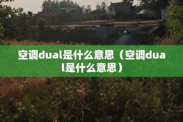 空调dual是什么意思（空调dual是什么意思）