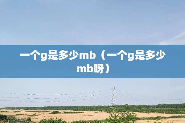 一个g是多少mb（一个g是多少mb呀）