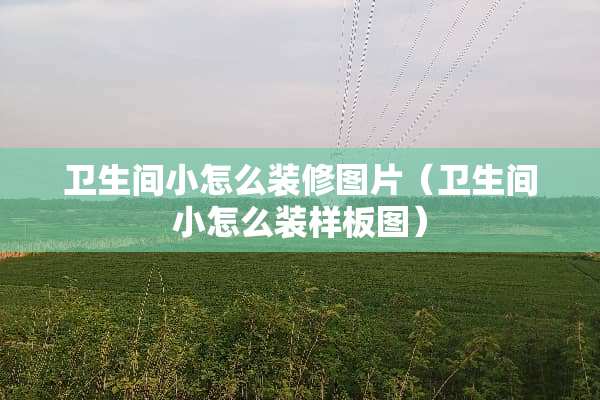 卫生间小怎么装修图片（卫生间小怎么装样板图）