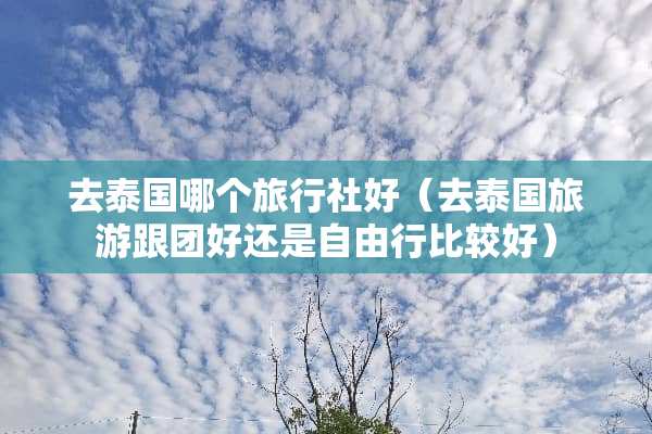 去泰国哪个旅行社好（去泰国旅游跟团好还是自由行比较好）