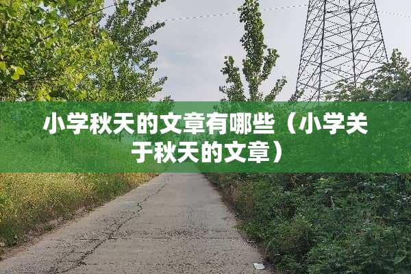 小学秋天的文章有哪些（小学关于秋天的文章）