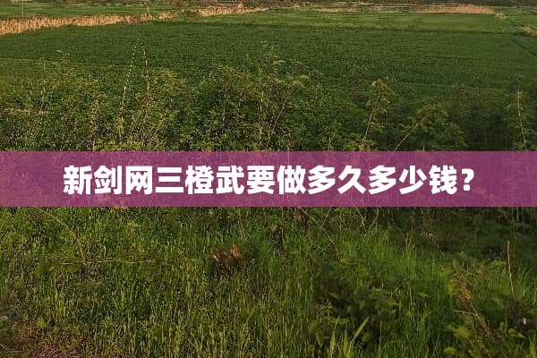新剑网三橙武要做多久多少钱？