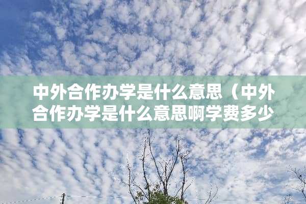 中外合作办学是什么意思（中外合作办学是什么意思啊学费多少）
