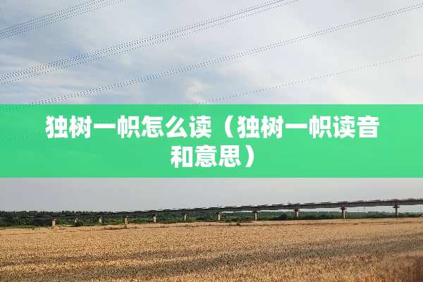 独树一帜怎么读（独树一帜读音和意思）