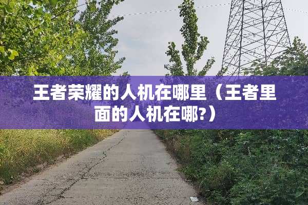 王者荣耀的人机在哪里（王者里面的人机在哪?）