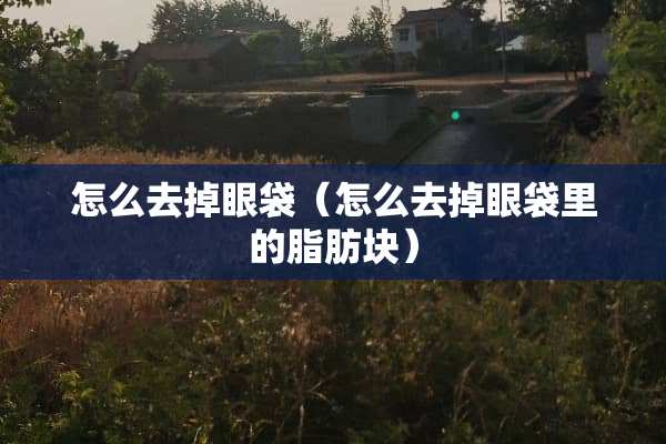 怎么去掉眼袋（怎么去掉眼袋里的脂肪块）