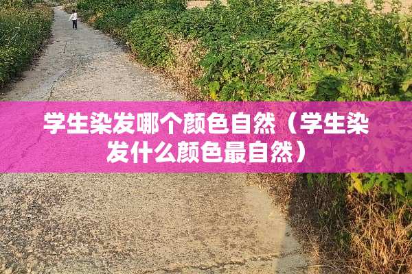 学生染发哪个颜色自然（学生染发什么颜色最自然）