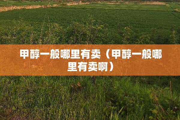 甲醇一般哪里有卖（甲醇一般哪里有卖啊）