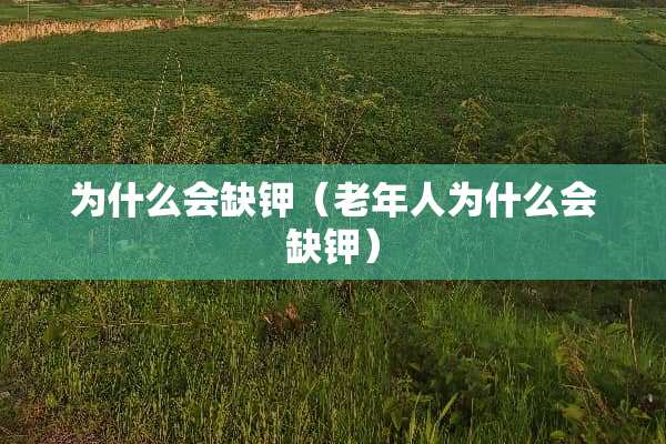 为什么会缺钾（老年人为什么会缺钾）