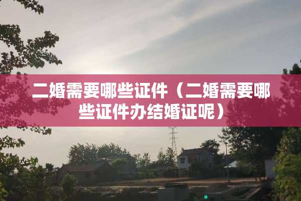 二婚需要哪些**（二婚需要哪些**办结婚证呢）