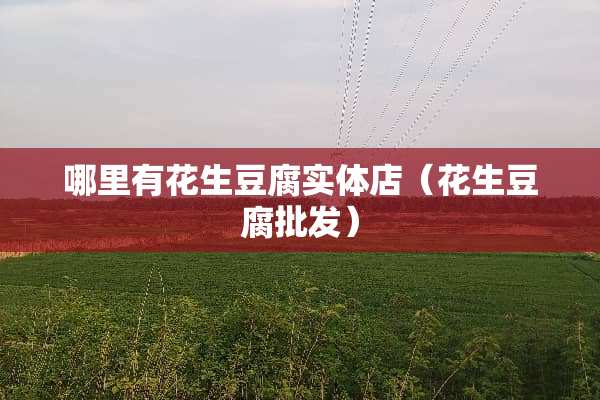 哪里有花生豆腐实体店（花生豆腐批发）