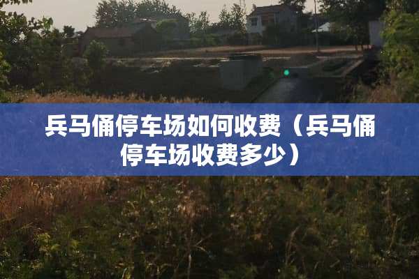 兵马俑停车场如何收费（兵马俑停车场收费多少）