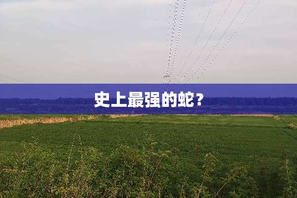 史上最强的蛇？