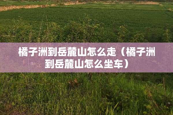 橘子洲到岳麓山怎么走（橘子洲到岳麓山怎么坐车）