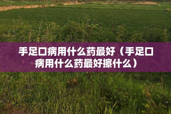 手足口病用什么药最好（手足口病用什么药最好擦什么）