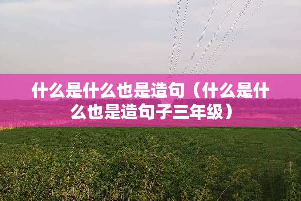 什么是什么也是造句（什么是什么也是造句子三年级）