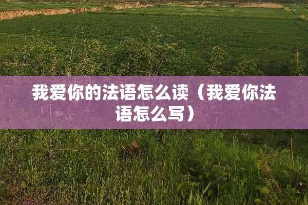 我爱你的法语怎么读（我爱你法语怎么写）