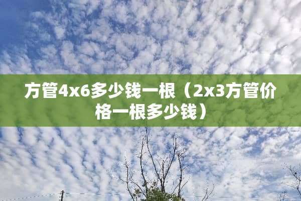 方管4x6多少钱一根（2x3方管价格一根多少钱）