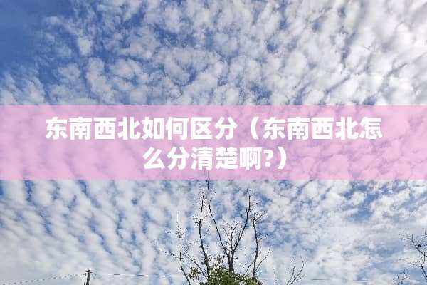 东南西北如何区分（东南西北怎么分清楚啊?）