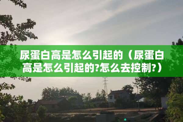 尿蛋白高是怎么引起的（尿蛋白高是怎么引起的?怎么去控制?）