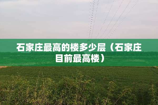 石家庄最高的楼多少层（石家庄目前最高楼）