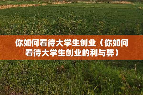 你如何看待大学生创业（你如何看待大学生创业的利与弊）